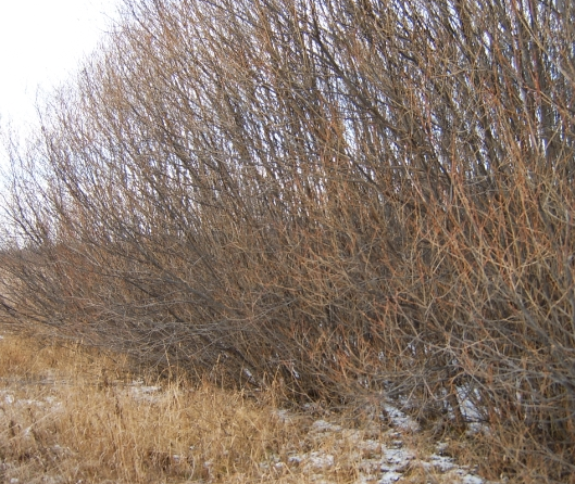 11_mp01_1.png_product