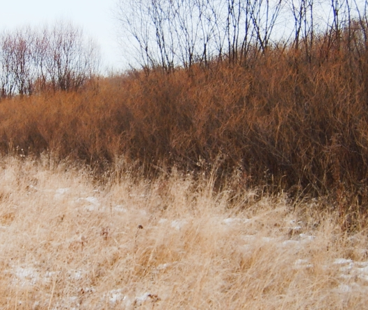 11_mp01_1.png_product